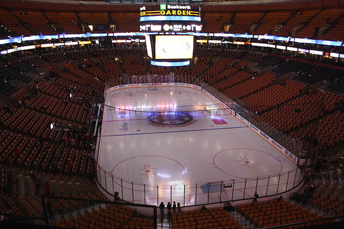 Arena of Bruins